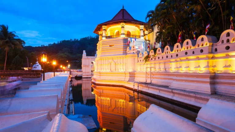 Best Sri Lanka Tour Packages from Kochi | Expert Guide